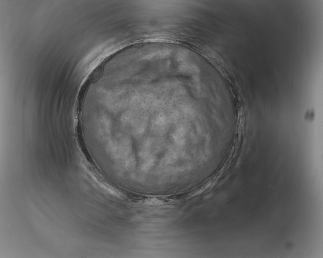 X0000116280290200912211825