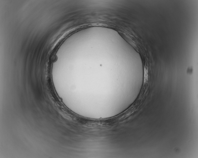 X0000116280291200912211825