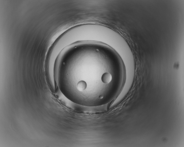 X0000116280292200912211825