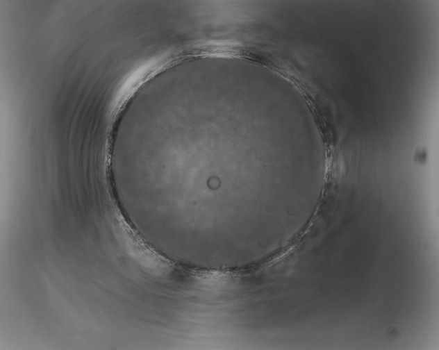 X0000116280293200912211825