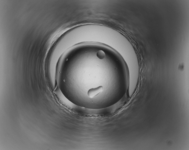 X0000116280294200912211825