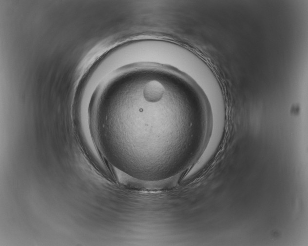 X0000116280296200912211825