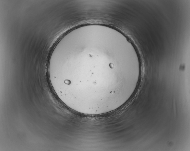 X0000116280297200912211825