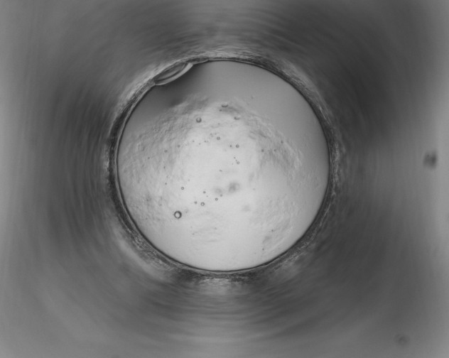 X0000116280298200912211825