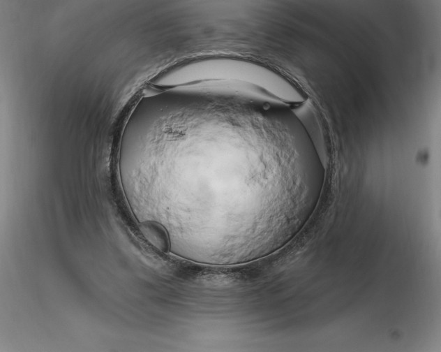 X0000116280299200912211825