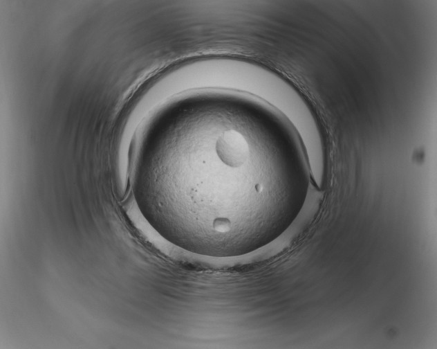 X0000116280300200912211825