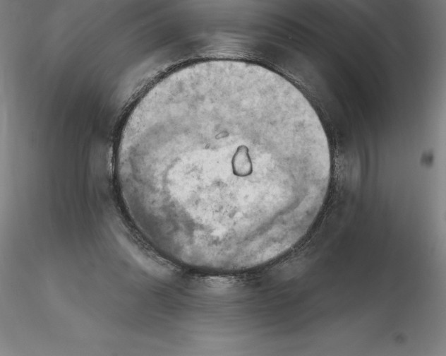 X0000116280302200912211825