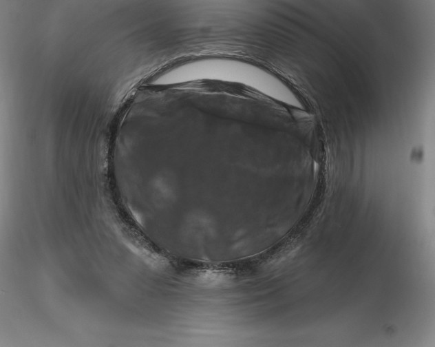 X0000116280303200912211825