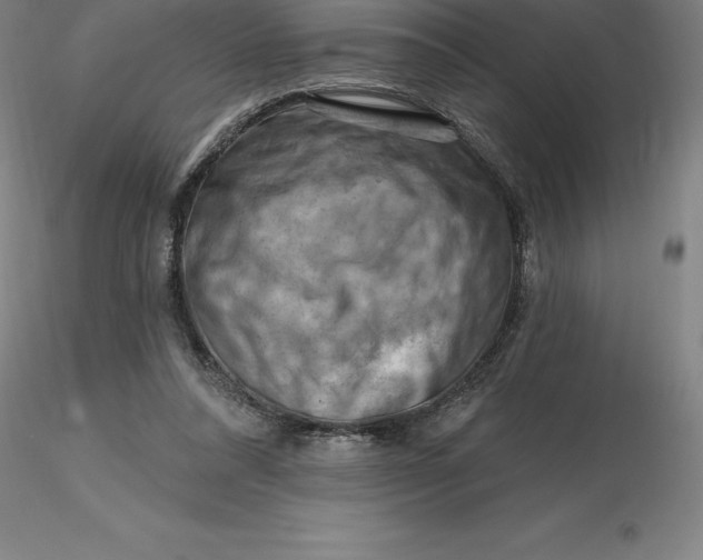 X0000116280304200912211825