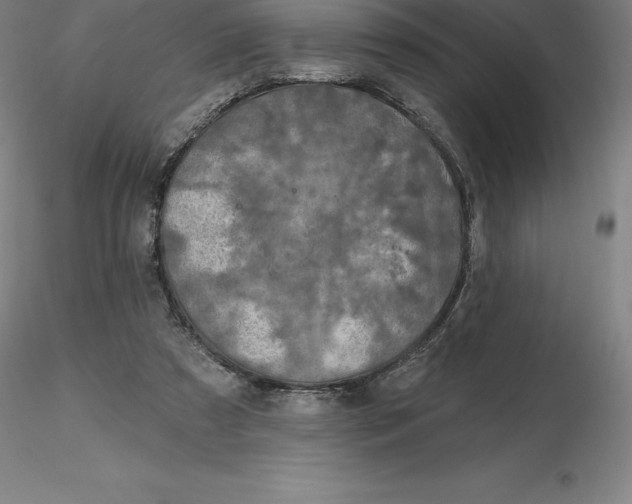 X0000116280305200912211825