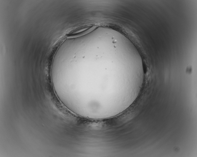 X0000116280306200912211825