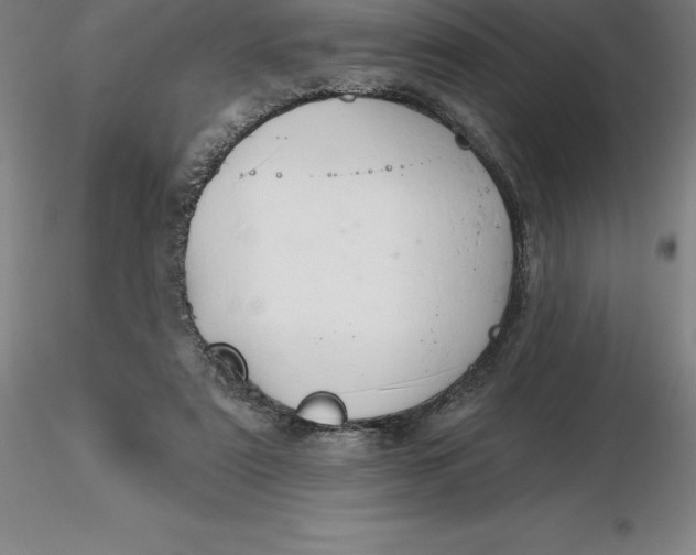 X0000116280307200912211825