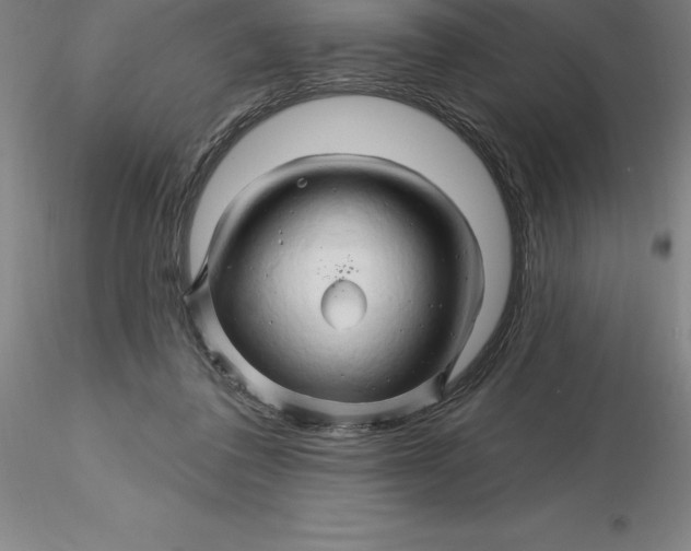 X0000116280308200912211825