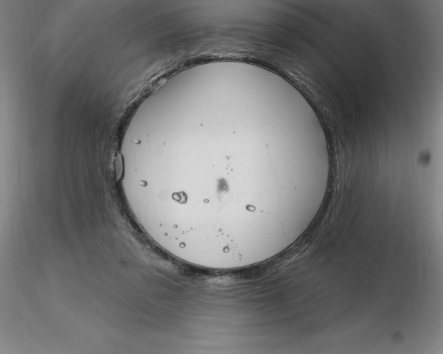 X0000116280309200912211825