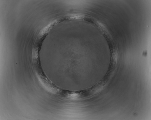 X0000116280312200912211824