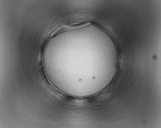 X0000116280314200912211824