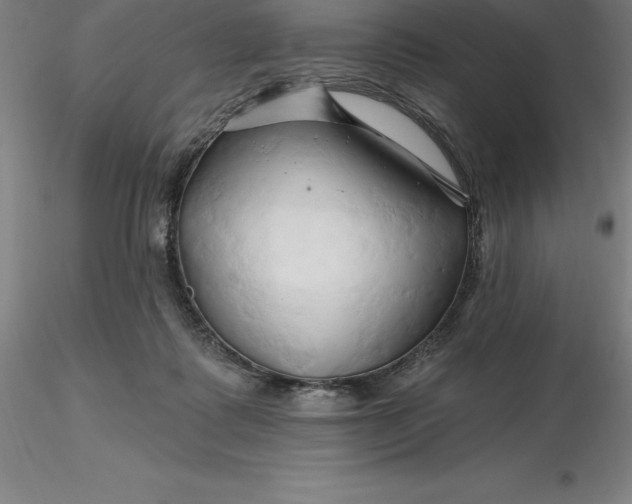 X0000116280315200912211824