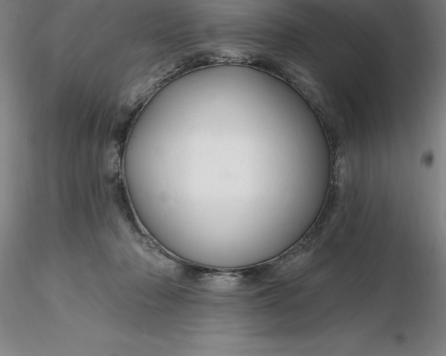 X0000116280318200912211824