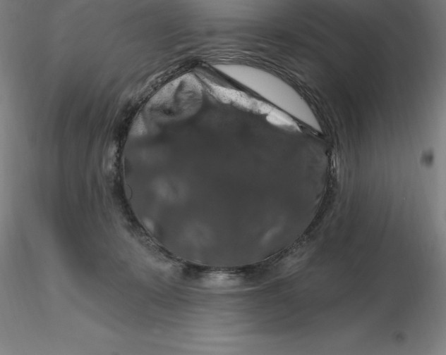 X0000116280319200912211824