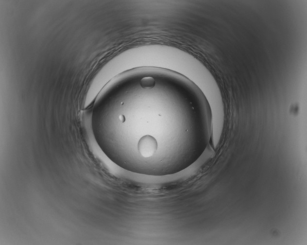 X0000116280320200912211824