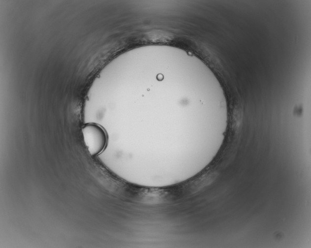 X0000116280321200912211824