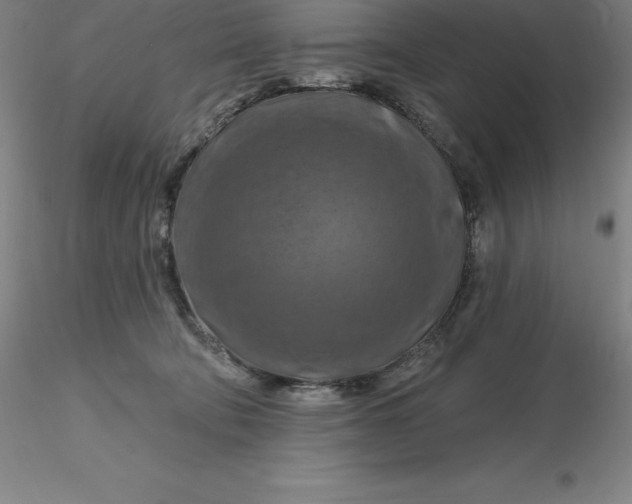 X0000116280322200912211824