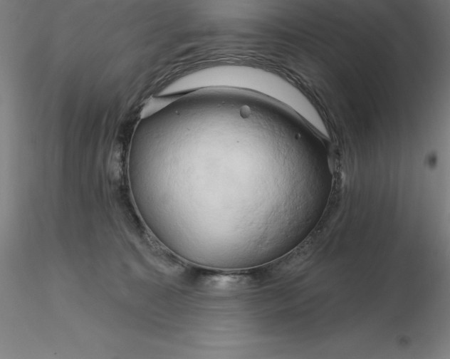 X0000116280323200912211824