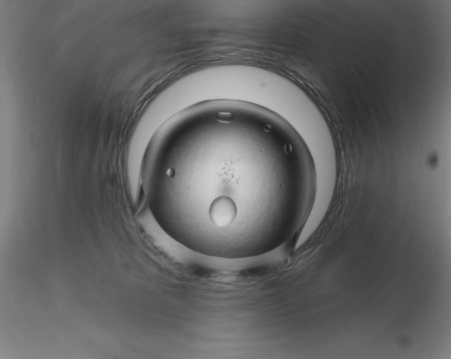 X0000116280325200912211824