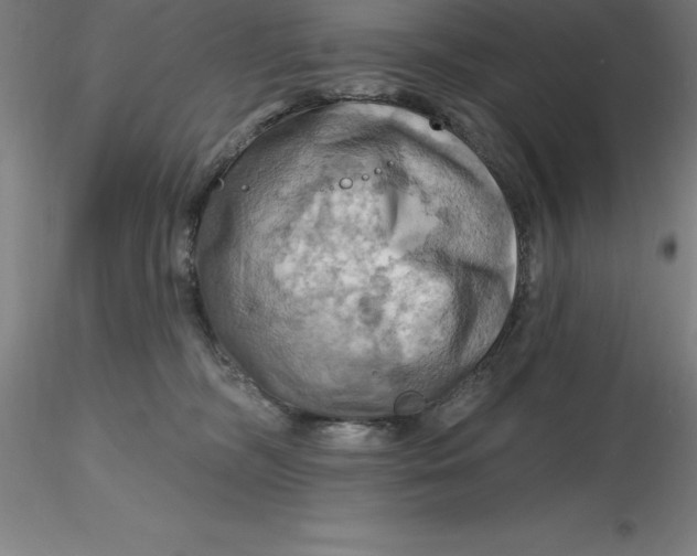 X0000116280326200912211824