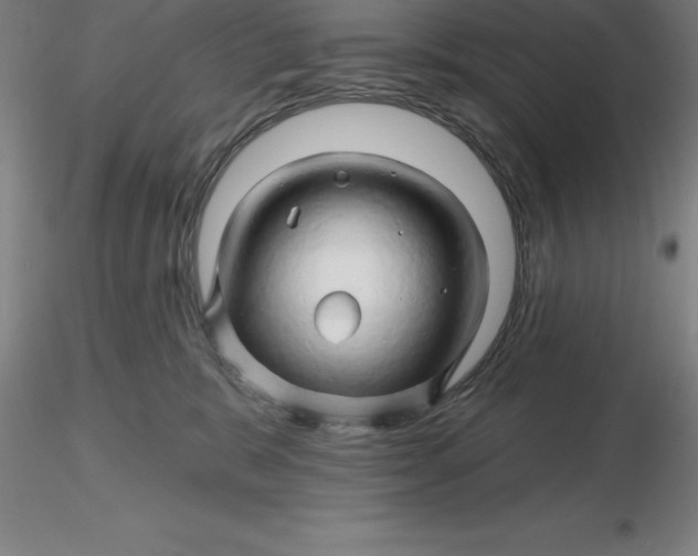 X0000116280327200912211824