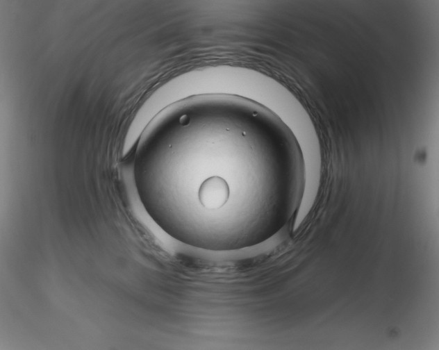 X0000116280328200912211824