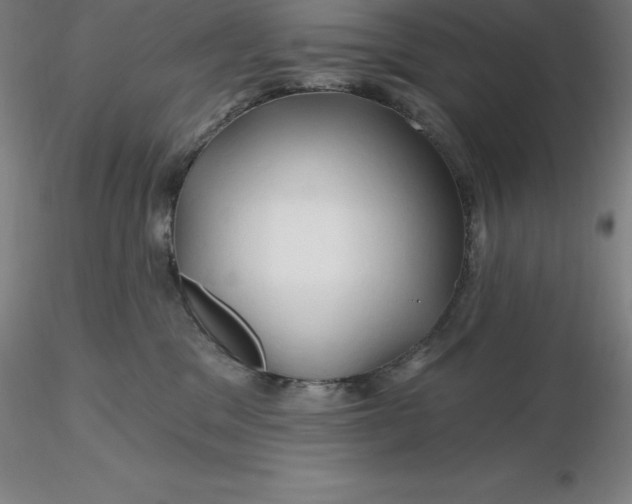 X0000116280329200912211824