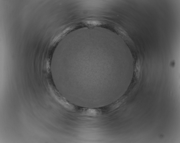 X0000116280330200912211824