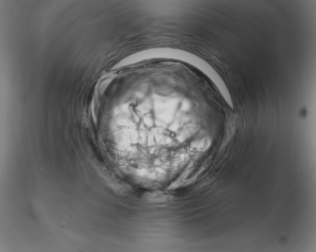 X0000116280331200912211824