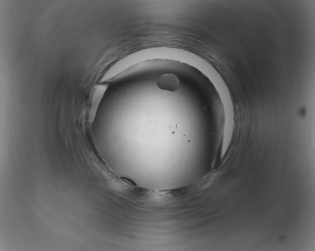 X0000116280333200912211824