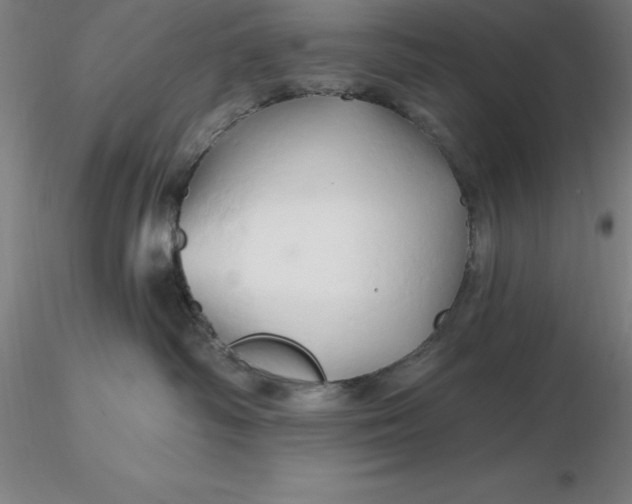 X0000116280334200912211824