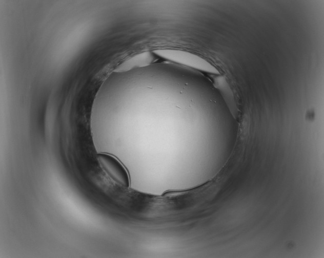 X0000116280335200912211824