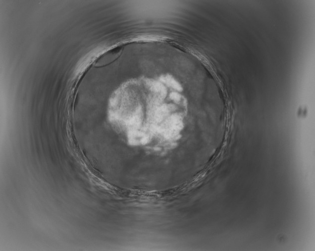 X0000116280337200912211824