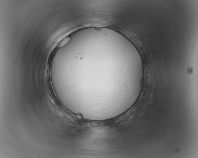 X0000116280338200912211824