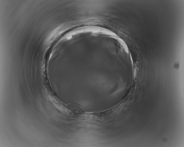 X0000116280339200912211824