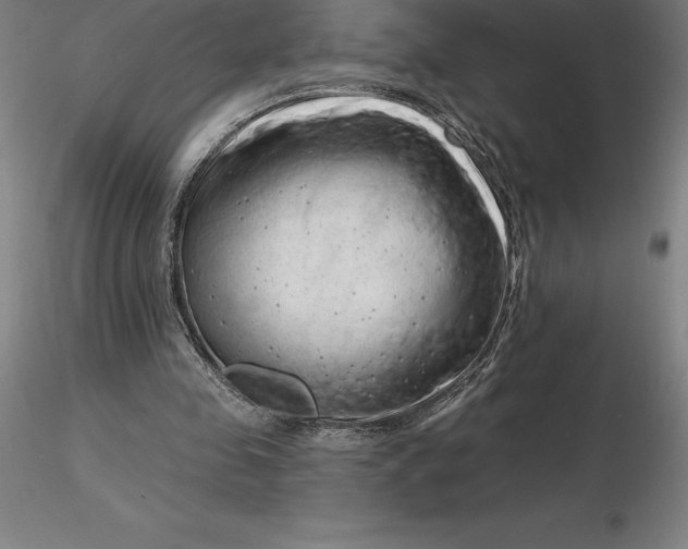 X0000116280341200912211824