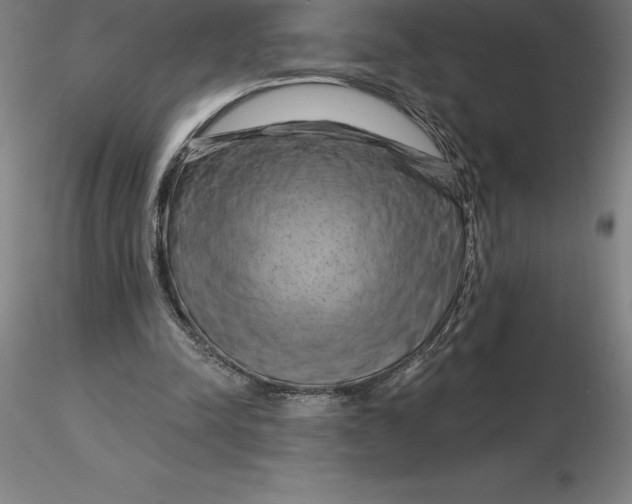 X0000116280342200912211824