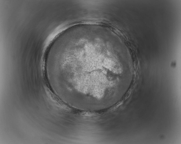 X0000116280343200912211824