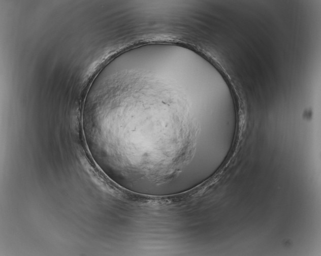 X0000116280345200912211824