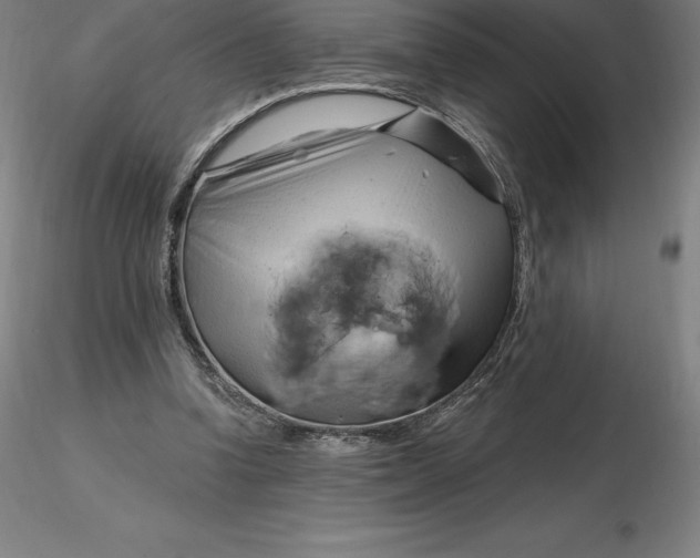 X0000116280346200912211824