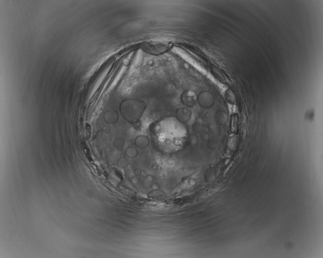 X0000116280347200912211824