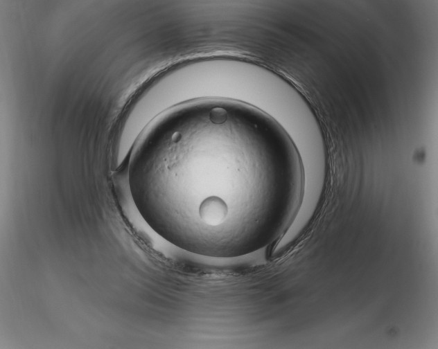 X0000116280350200912211824