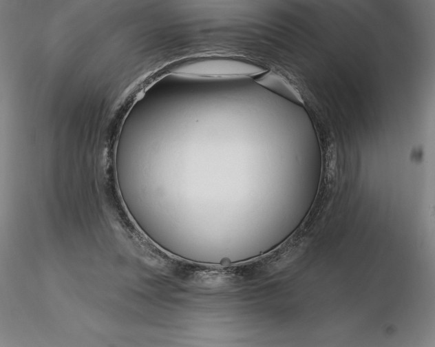 X0000116280351200912211824