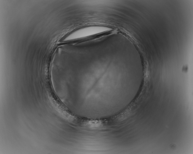 X0000116280353200912211824