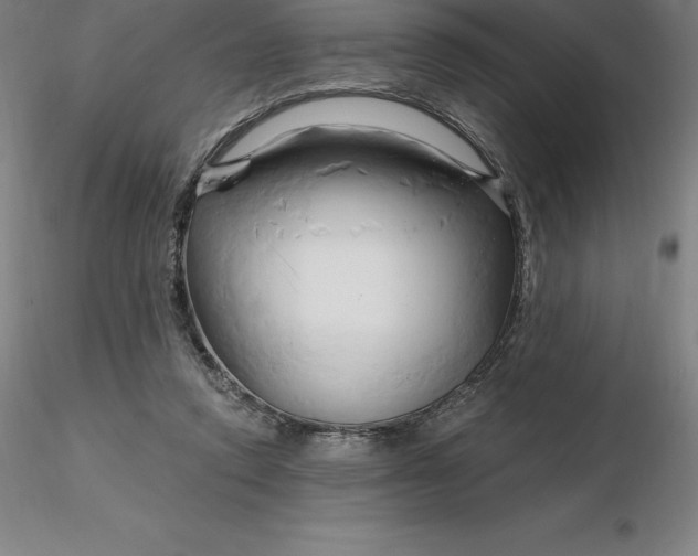 X0000116280354200912211824